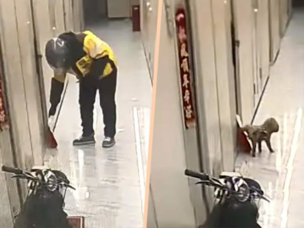 Tưởng shipper giở trò với hộp đồ ăn mình đặt, cô gái vội xin lỗi khi xem lại camera giám sát