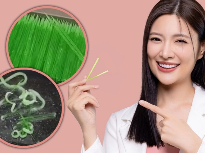 Trào lưu ăn tăm sinh học lan sang Trung Quốc, quan chức y tế cảnh báo khẩn