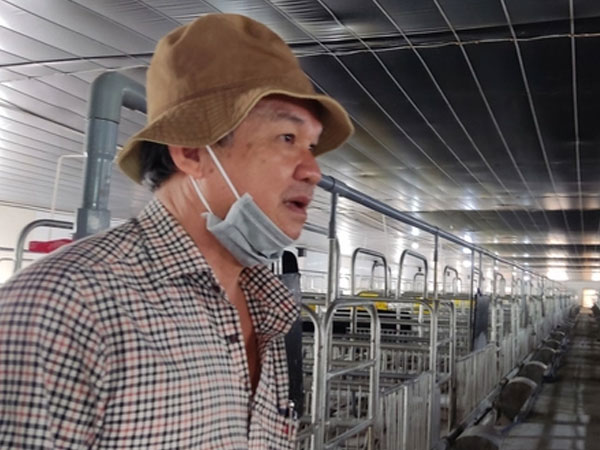 Giá heo giảm sâu, công ty bầu Đức vẫn báo lãi 1.817 tỉ đồng