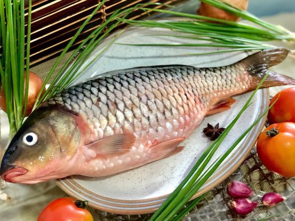 Loại cá được mệnh danh là 'thuốc tiên' cho phụ nữ