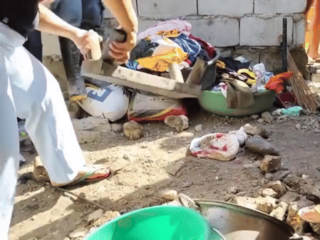 Anh trai bị cắn tử vong, em gái đập chết rắn hổ mang để trả thù