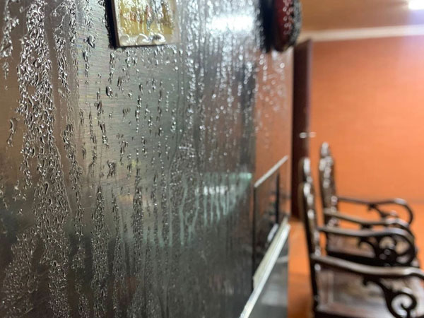 Gia chủ tá hỏa với cảnh tượng trong tủ quần áo ngày trời nồm: Rất nhiều gia đình cũng gặp phải