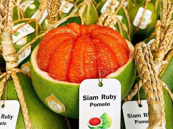 400 nghìn đồng mỗi quả, bưởi ruby Thái Lan vẫn ‘cháy hàng’