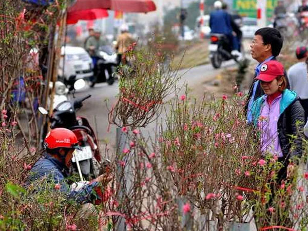 Miền Bắc rét từ 29 đến hết mùng 5 Tết Nguyên đán Giáp Thìn 2024