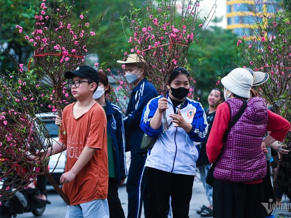 Chưa Tết, hoa đào đã nở tung, vắng khách, người buôn rầu rĩ bán tháo