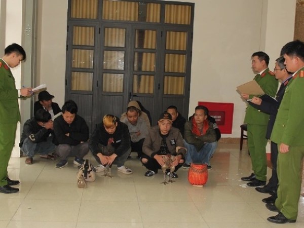 Đá gà ăn tiền những ngày cuối năm, 11 người bị bắt