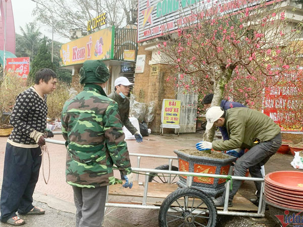 Hoa Tết tràn ngập vỉa hè, người bán nguy cơ lỗ trăm triệu