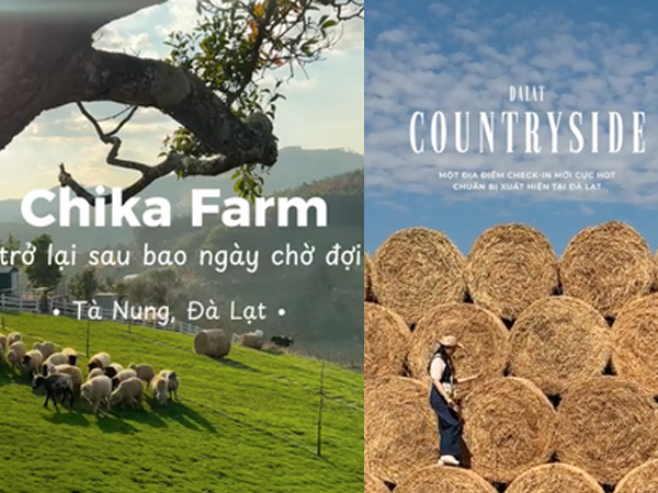 Chika Farm Đà Lạt bất ngờ thông báo trở lại đúng mùng 2 Tết, thêm nhiều cảnh check-in đẹp mê mẩn