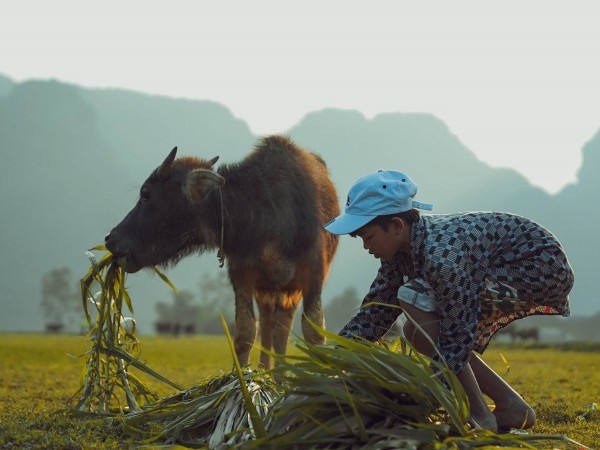 Những con số ấn tượng về làng du lịch tốt nhất thế giới nơi rốn lũ Tân Hoá