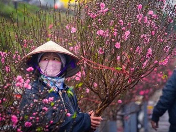 Miền Bắc rét đậm, rét hại xuyên Tết