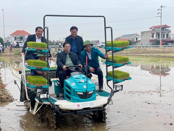 Thủ tướng xuống đồng cấy lúa, lì xì cho bà con nông dân