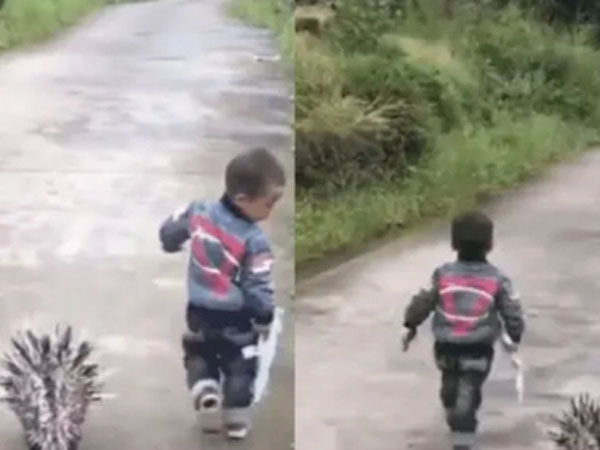 Cãi nhau với bạn, cậu bé hùng hổ chạy ra khỏi nhà, mẹ lén đi theo xem thử: Nhìn thứ con dắt theo cùng, mẹ vừa ôm bụng cười vừa kéo con về vội