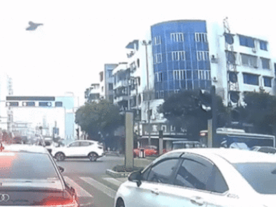 Clip: Gà 'tung cước' đá hỏng đèn giao thông khiến CSGT choáng váng