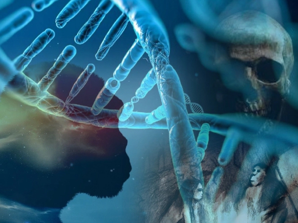 Soi DNA, lộ tung tích loài 'người ma' chưa từng biết trong lịch sử