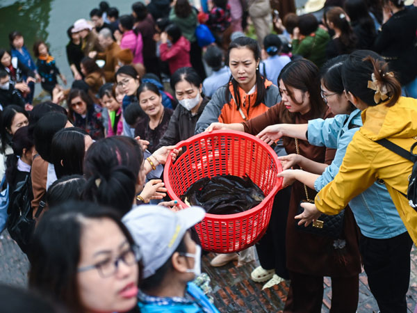 Phóng sinh gần 700kg cá trên sông Hồng