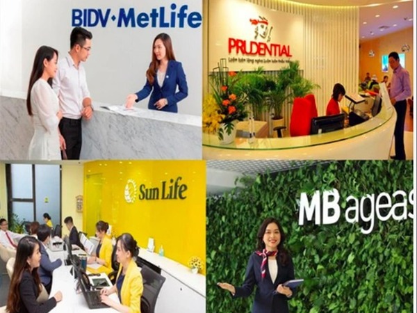 Thanh tra toàn diện thị trường bảo hiểm