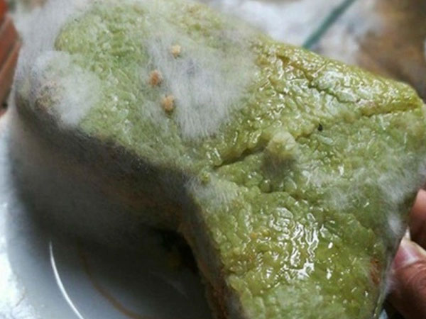 Bánh chưng cắt phần bị mốc còn ăn được không?