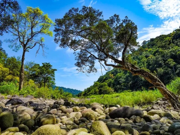 Vẻ đẹp hoang sơ của 'viên ngọc xanh' ở Hà Tĩnh