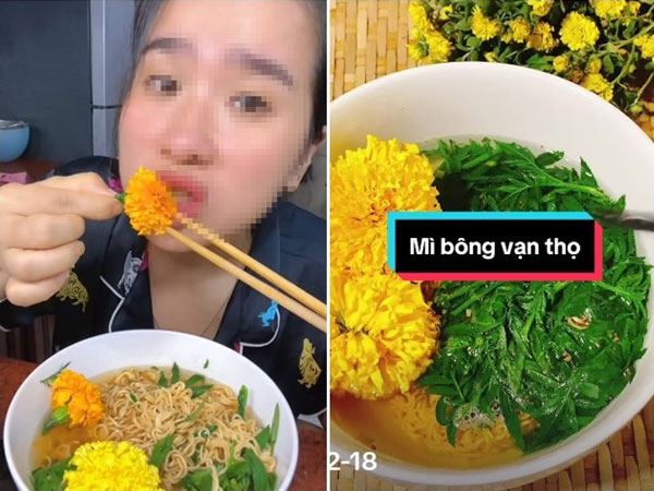 Trào lưu 'ăn cúc vạn thọ cùng mì tôm' gây bão mạng xã hội Tiktok, liệu có an toàn?