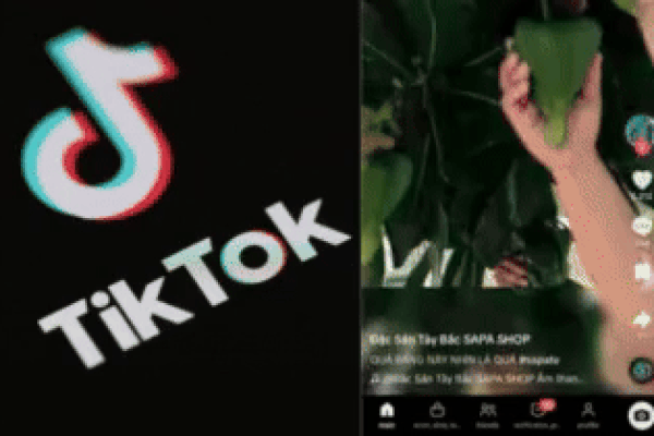 Hết bị 'đăng xuất' Facebook, netizen than trời vì TikTok chập chờn