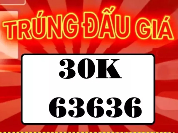 Biển số ôtô 30K-636.36 có gì hay mà giá tới hơn nửa tỷ đồng?