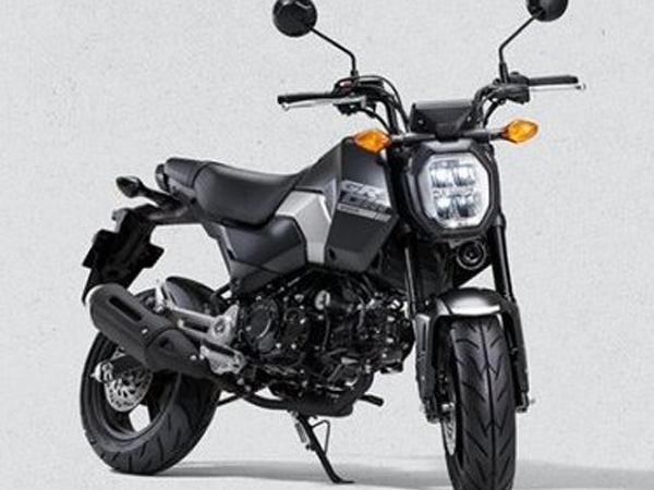 Honda Grom 2024 trình làng, minibike cho dân chơi đường phố, giá 64 triệu đồng