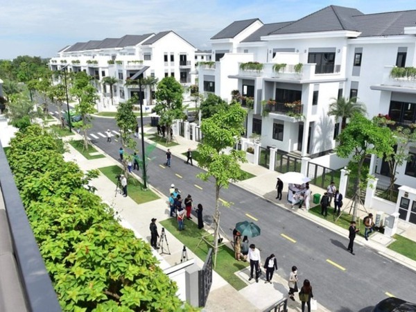 Nhà đầu tư 'vác bao tiền' đi mua biệt thự, giới săn đất nền sẵn sàng chốt đơn: Thị trường bất động sản nở rộ sau Tết