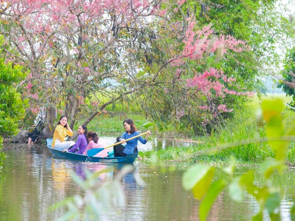 Rủ nhau chụp ảnh cùng ‘anh đào miền Tây’