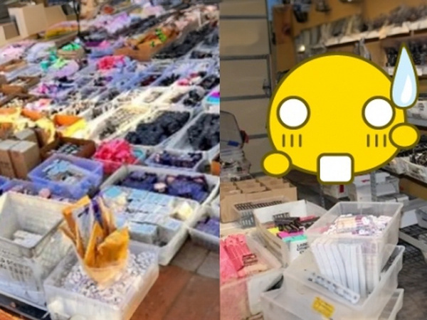 Bà mẹ 3 con điều hành đường dây trộm cắp mỹ phẩm trang điểm trị giá 197 tỷ VNĐ trên khắp nước Mỹ để bán hàng online