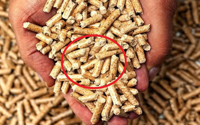 Chỉ bán 'thứ bỏ đi' cho Trung Quốc, Nhật Bản..., Việt Nam thu về gần 3 tỷ USD