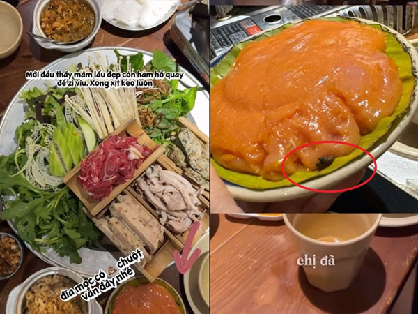 Đĩa mọc nhúng lẩu 'đính kèm' chất thải chuột trong nhà hàng ở Hà Nội khiến khách kinh hãi, nghe nhân viên giải thích càng thêm 'rụng rời'