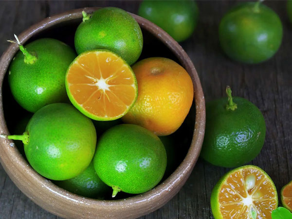 Điều gì xảy ra khi khi ăn quả quất mỗi ngày?