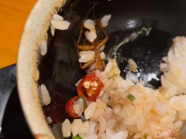 Vụ việc 'tiểu cường' xuất hiện trong bát cơm, đại diện nhà hàng lên tiếng khiến cộng đồng mạng sốc ngang