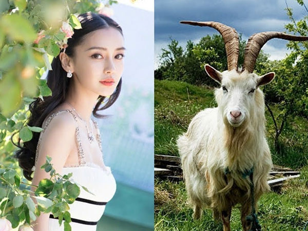 Rằm tháng 2 âm, nhà có 1 trong 4 con giáp sau sẽ trúng LỘC Quan HOÀNG MƯỜI, tin vui tìm tới nhà, TIỀN vào liên tục!