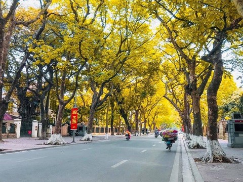 Ảnh bìa bài viết 928003