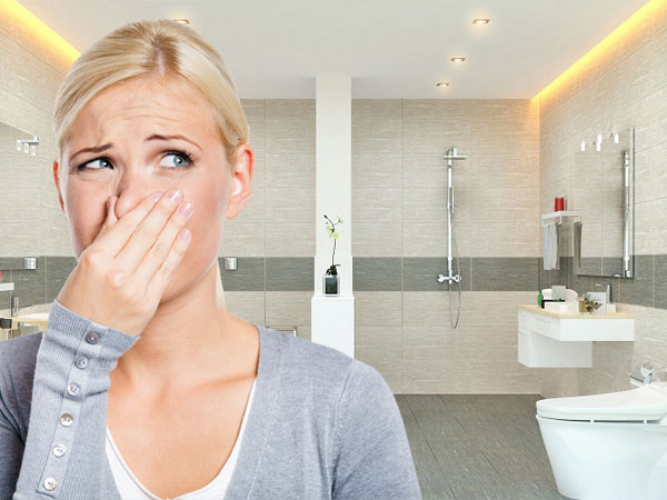Phòng tắm có mùi hôi, kiểm tra ngay 4 nơi này
