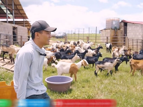 Quang Linh Vlog đau xót vì trang trại mất 70 con dê, hàng chục tỷ đầu tư có nguy cơ đổ sông đổ bể