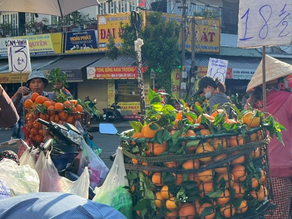 Sự thật quýt Úc tràn ngập chợ, giá siêu rẻ
