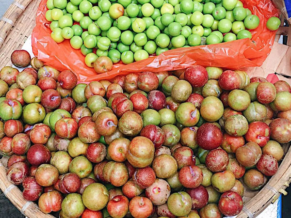 40k chỉ mua được 5 quả mận: Người ngậm ngùi 'chịu trận' vì mận đầu mùa, người than thở vì giá trên trời