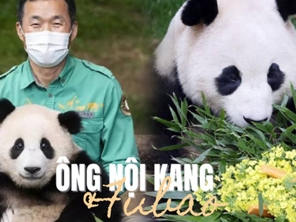 Ông nội Kang của Fubao: Ở bên 'cháu gái' 24/7 suốt 3 tháng mới sinh, tiết lộ điều cảm động sau bó cải dầu vàng