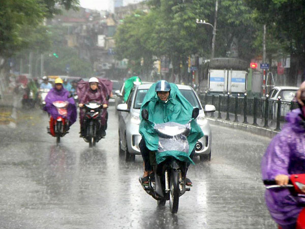 Ảnh bìa bài viết 930467