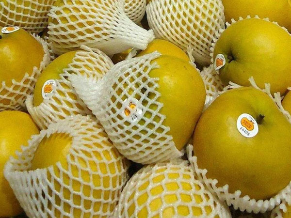 Đi chợ về thừa tấm lưới bọc hoa quả, đừng vội bỏ đi bởi nó có cực nhiều công dụng: Tiết kiệm 1 mớ tiền