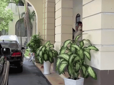 Nam Em đi không nổi, được bạn trai bế lên xe ra về sau buổi làm việc tại Sở Thông tin - Truyền thông TP.HCM