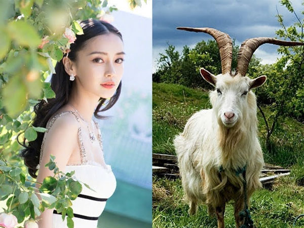 Chúc mừng 4 con giáp may mắn cuối tuần này (13-14/4), nhiều vận may và cơ hội đang chờ đón bạn phía trước