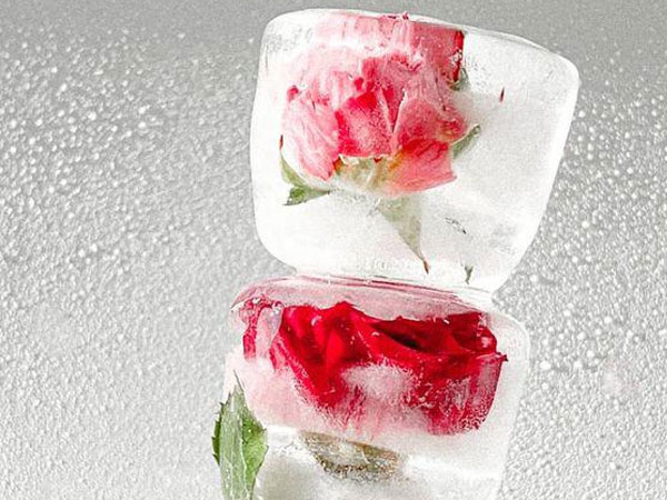 Những công thức làm đá viên giúp se khít lỗ chân lông da ngày hè