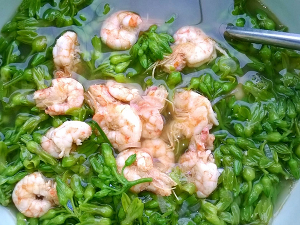 Cách nấu canh hoa thiên lý với tôm giải nhiệt ngày hè