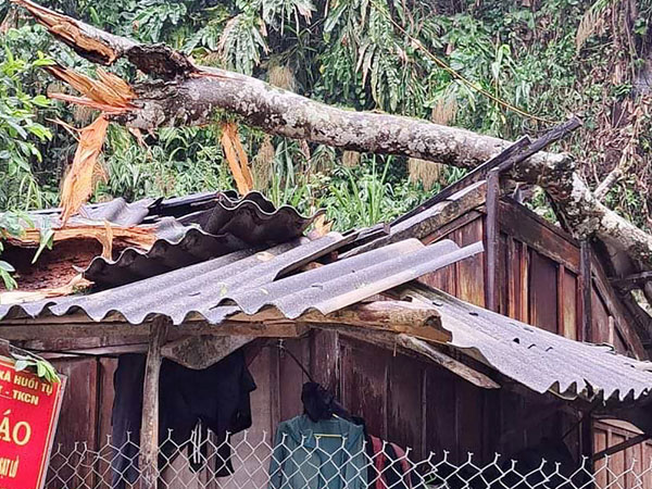 Lốc xoáy làm hàng loạt nhà bị tốc mái, cột điện đổ sập ở Nghệ An