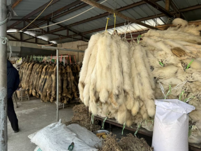 Chuyên gia lại cảnh báo khả năng xuất hiện dịch bệnh ở Trung Quốc
