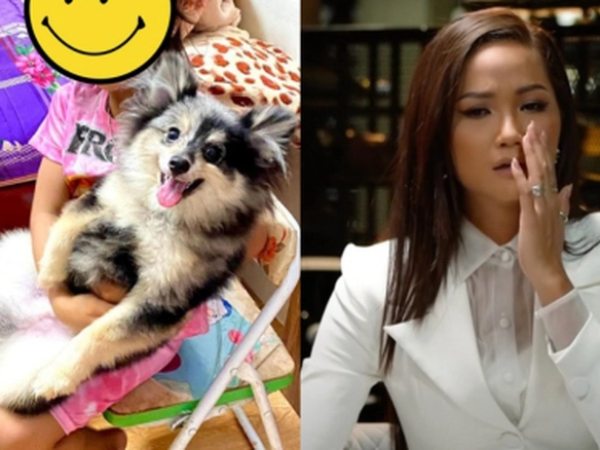 H'Hen Niê đau lòng chia sẻ cún cưng bị bắn chết, không phát hiện kịp thời vì một lí do