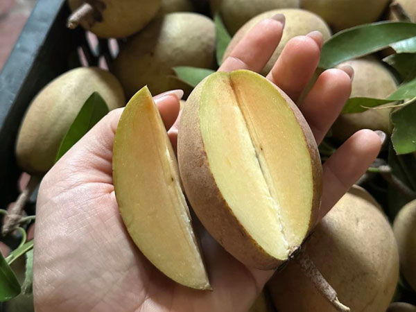 Loại quả có thể ngăn ngừa ung thư, tăng huyết áp